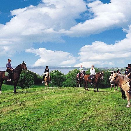 Ponyhof Naeve Am Wittensee Groß Wittensee Kültér fotó