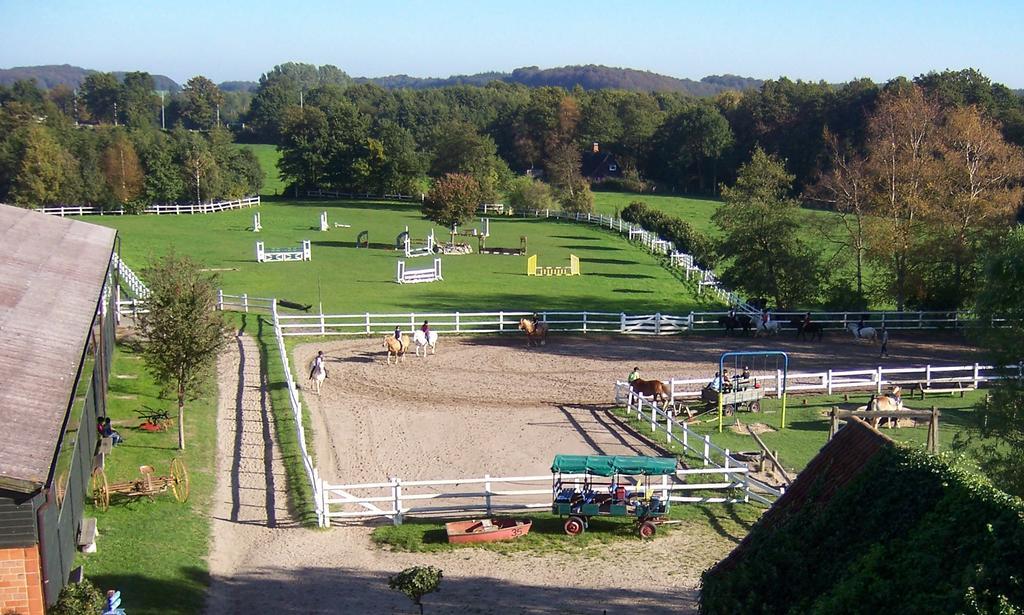 Ponyhof Naeve Am Wittensee Groß Wittensee Kültér fotó